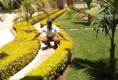 Landscaping