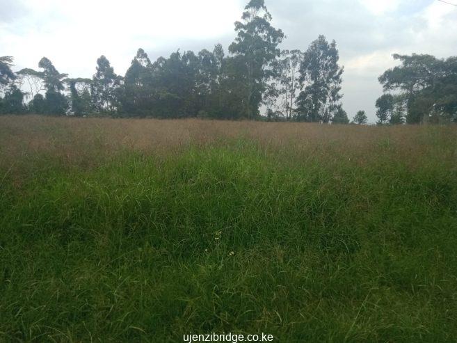 3 ACRES OF LAND