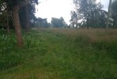 3 ACRES OF LAND